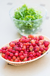 Similar image 12568755