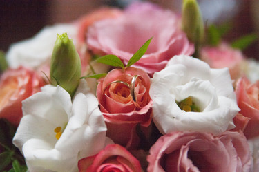 Similar image 12592858