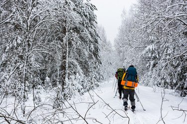 Similar image 12582852