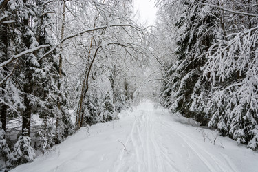 Similar image 12582853