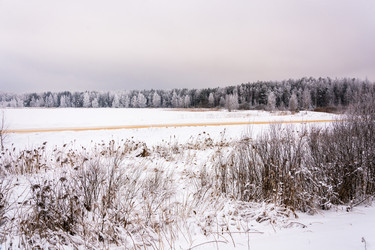 Similar image 12582854