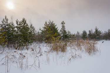 Similar image 12582855