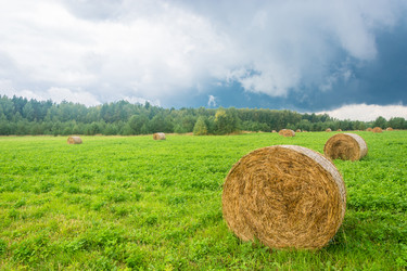 Similar image 12582890