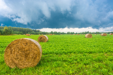 Similar image 12582891