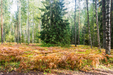 Similar image 12582893