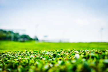 Similar image 12583014