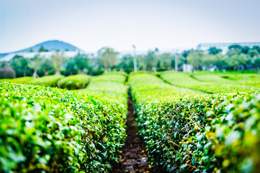 Similar image 12583015