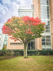 Similar image 12582522