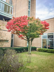 Similar image 12582523