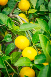 Similar image 12582607