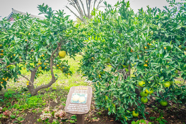 Similar image 12582613