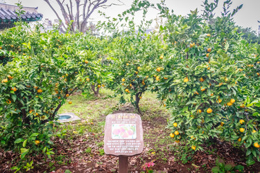 Similar image 12582619