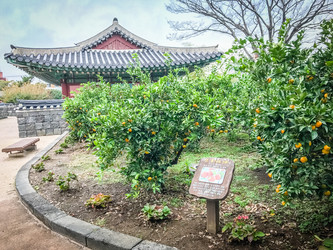 Similar image 12582630