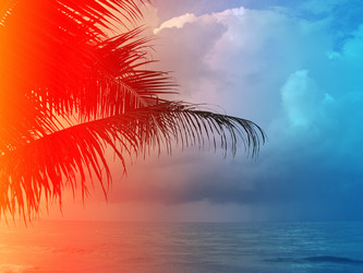 Similar image 12686938