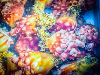 Similar image 12582646