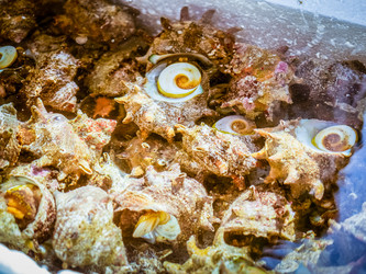 Similar image 12582647