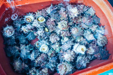 Similar image 12583296