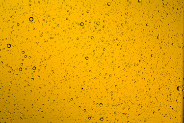 Similar image 12597406