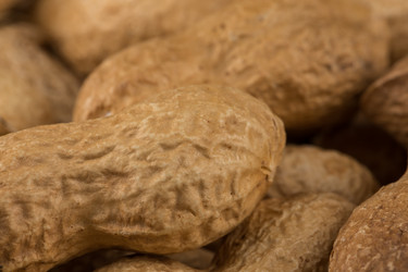 Similar image 12597464