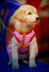 Similar image 12687012