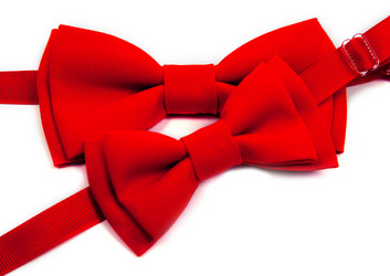 Similar image 12555335