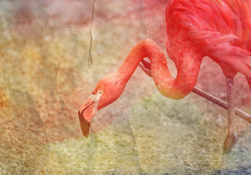 Similar image 12686897