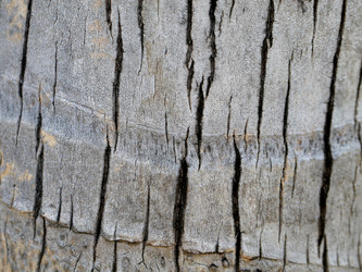 Similar image 12686947