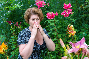 Similar image 12580073