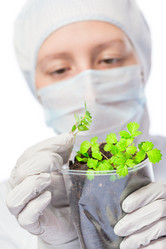 Similar image 12588922