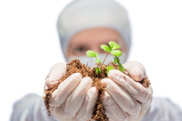 Similar image 12588998