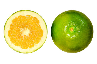 Similar image 12687034