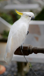 Similar image 12687080