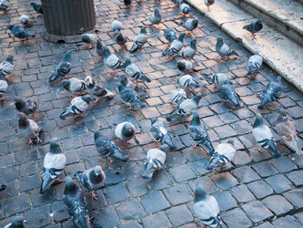 Similar image 12594880