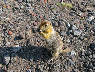 Similar image 12688424