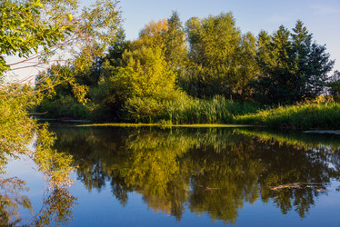 Similar image 12686446