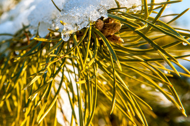 Similar image 12594187