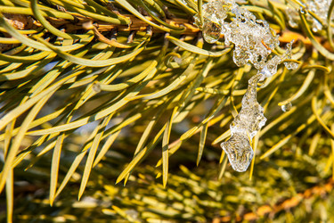 Similar image 12594188