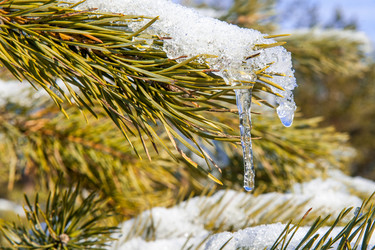 Similar image 12594191