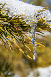 Similar image 12593022