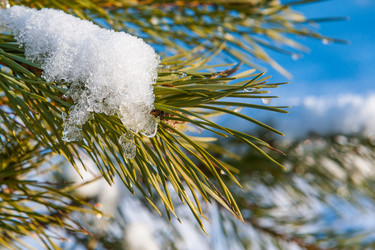 Similar image 12593023