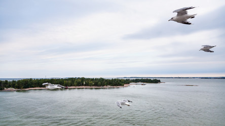 Similar image 12595281