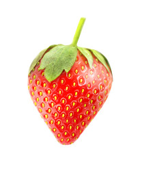 Similar image 12686913