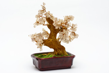 Similar image 12580372