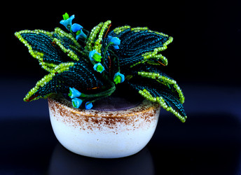 Similar image 12592930