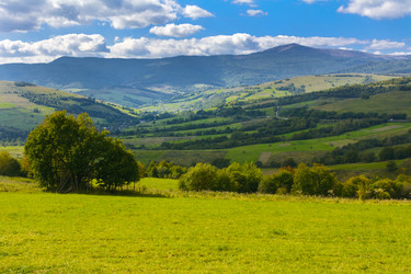 Similar image 12580427