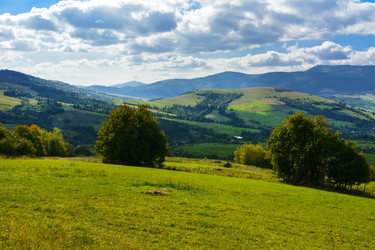 Similar image 12580429