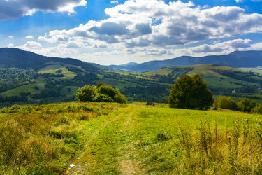 Similar image 12580430