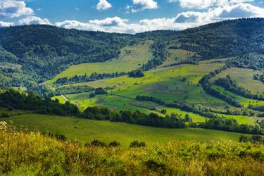 Similar image 12592910