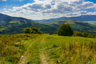 Similar image 12592934