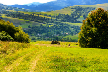 Similar image 12592936